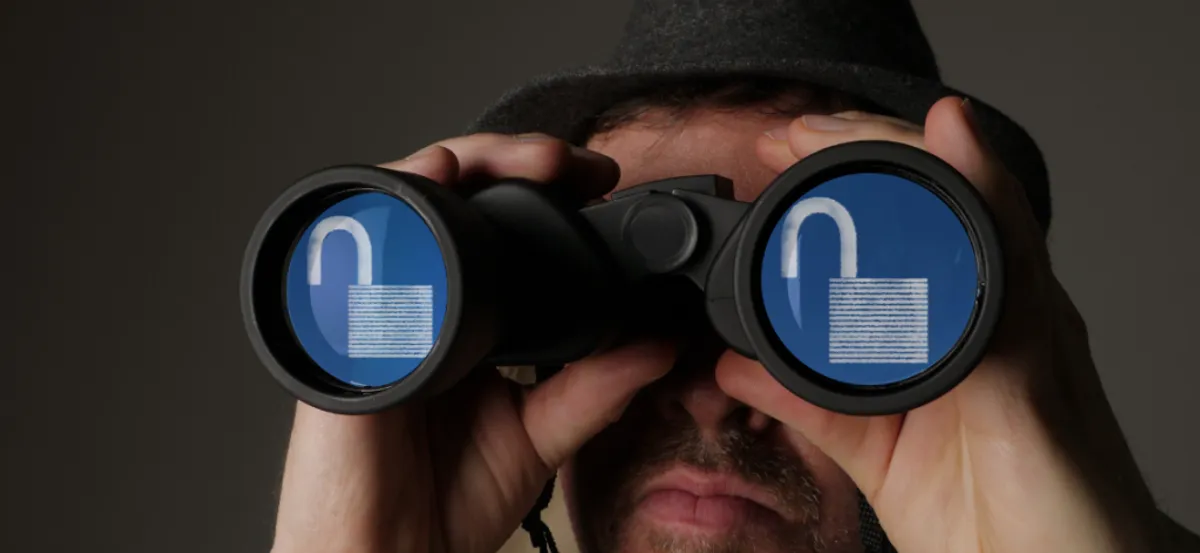 Data Governance and Security